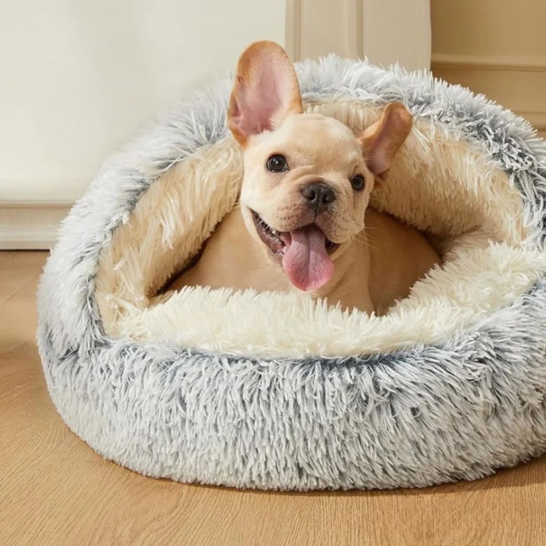 FluffyPaws™ - Het droombed voor iedere huisdier